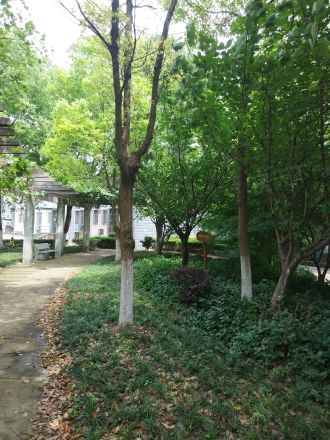 界龙阳光苑(东区)实景图