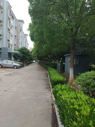 界龙阳光苑(东区)实景图