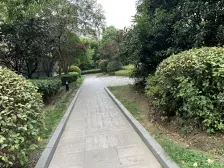 大华 · 梧桐城邦(三期) · 3室 · 2厅