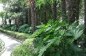 望江苑实景图