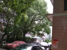 一梯四户,大两房,非顶楼房,简约风格