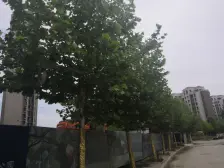 龙湖中间楼层高档物业南北3室五明户型