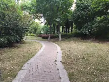 新上一房 前排 位置号 采光好 诚心卖