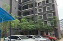 东葛汇贤居实景图