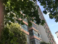 天明路,小高层电梯房 1室标间 成套住宅