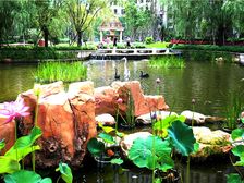 出门就是地铁口管家式物业格局好采光好装修好近江边