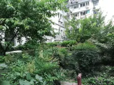 三百多万买一房 诚意出售 看房随时