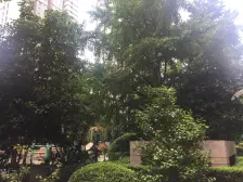 产权车位得房率高带会所网球场+04年景观