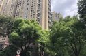 馨佳园十一街坊实景图
