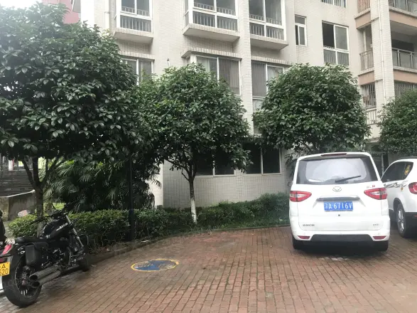 天赐龙都实景图