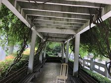 新挂牌,老业主委托,正气朝南大一房,楼层好视野开阔!