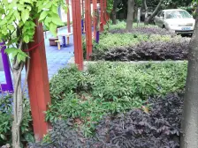 黄外/大同,小高层带电梯,东边套全明,刚需自住必备