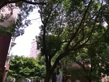 运旺新村阳光世家 2室2厅 南 北