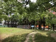 产权清晰 地处三轨14/9/6只有一家 前面花园采光刺眼