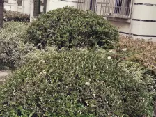 中环百联 品质复式 全实木装修 宽敞通透 诚意出售