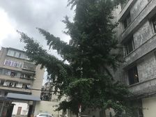 团结巷2室1厅东南