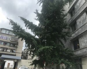 团结巷2室1厅东南