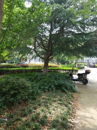 界龙阳光苑(东区)实景图