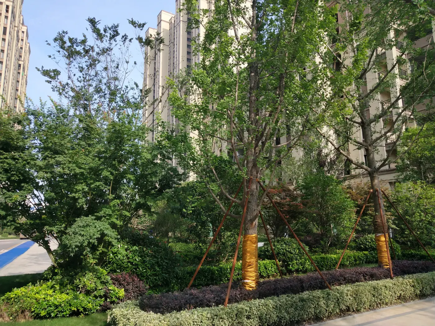 新城郡未来