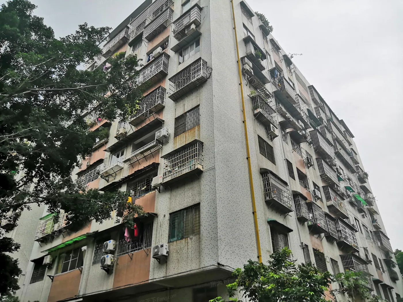 赤岗苑图片相册,户型图,样板间图,装修效果图,实景图-广州房天下