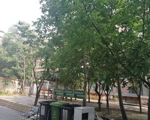 苹果园·西井特钢楼·2室·1厅