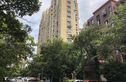 馨佳园十一街坊实景图