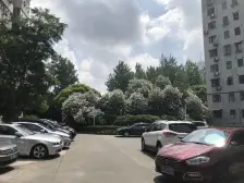 金杨新村八街坊 2室1厅 南