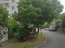 高东·高行绿洲四期·3室·2厅