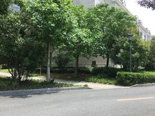 主卧朝南,环境优美,居家装修,诚意出售