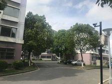 业主诚心出售,朝向好,楼层好,采光好