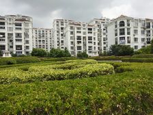 花园位置 前后无遮挡 飞机户型 停车方便 议价空间大