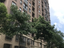 心圆西苑 3室2厅 南