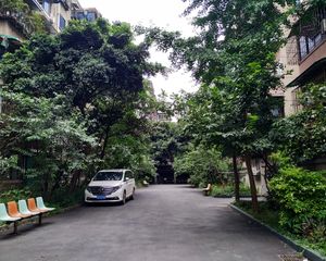 倪家桥路8号3室1厅南北