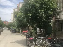 房子满五、唯、一,税费少高楼层采光好近3号线江湾镇