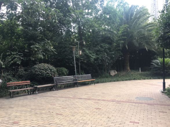 榜样实景图