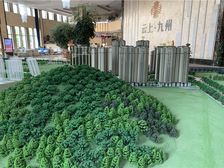 云上·九州3室1厅东南