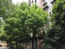 品质小区,房型正气,主卧朝南,采光充足,居家装修,环境优美