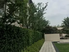 拎包入住,品质小区, 高楼层景观位置,人车分流