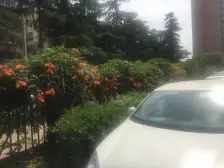 陇海路大润发旁,方圆创世小区2015年电梯小高层户型好