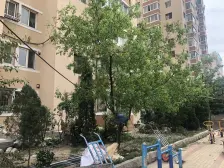 2楼 落地窗 近恒隆广场 拎包住 诚心卖