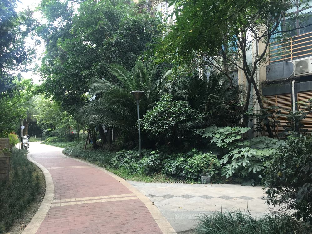 小区相关图