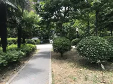 高品质小区 位置好 河景房 视野开阔 精装修拎包入住