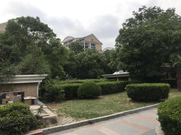 桃浦新家园实景图