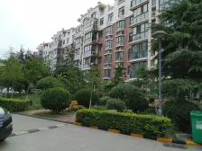 美盛旁 10年社区 环境好 丰庆佳苑一居室 朝南 采光好