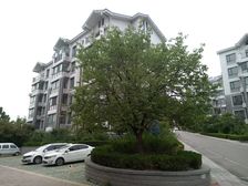 泰山御府苑2室2厅东南