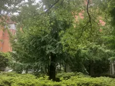 · 文化花园清华苑 位置好 交通方便 5室 · 2厅