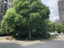 没有对手三房户型 近7号15号地铁 近龙湖商场 配套齐全