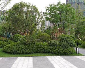 都荟上城一期中高楼层,东校区,远离火车道!