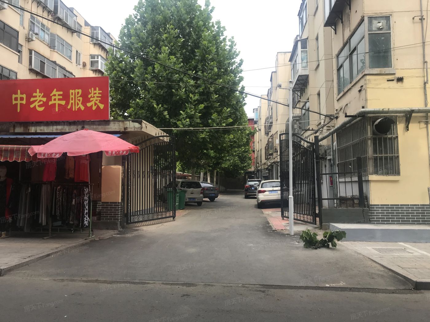 实景图