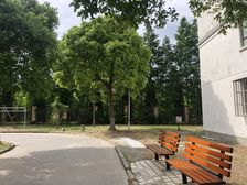 张江·紫晶苑·1室·1厅